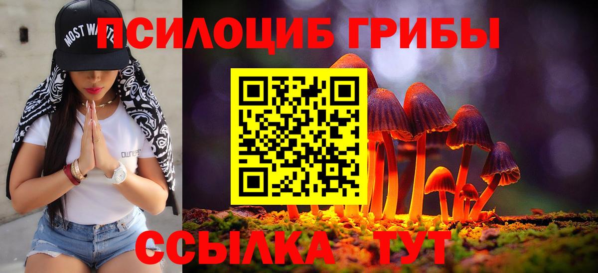 Лянтор  хочу наркоту  Вход с VPN  Псилоцибиновые грибы мухоморы  Галлюциногенные грибы Psilocybine cubensis 